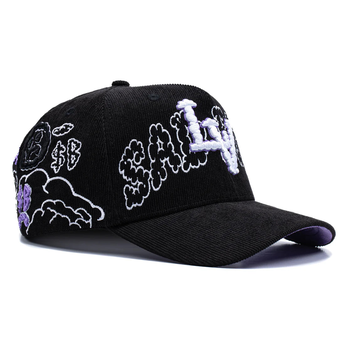 Complex PURPLE  Hat full set