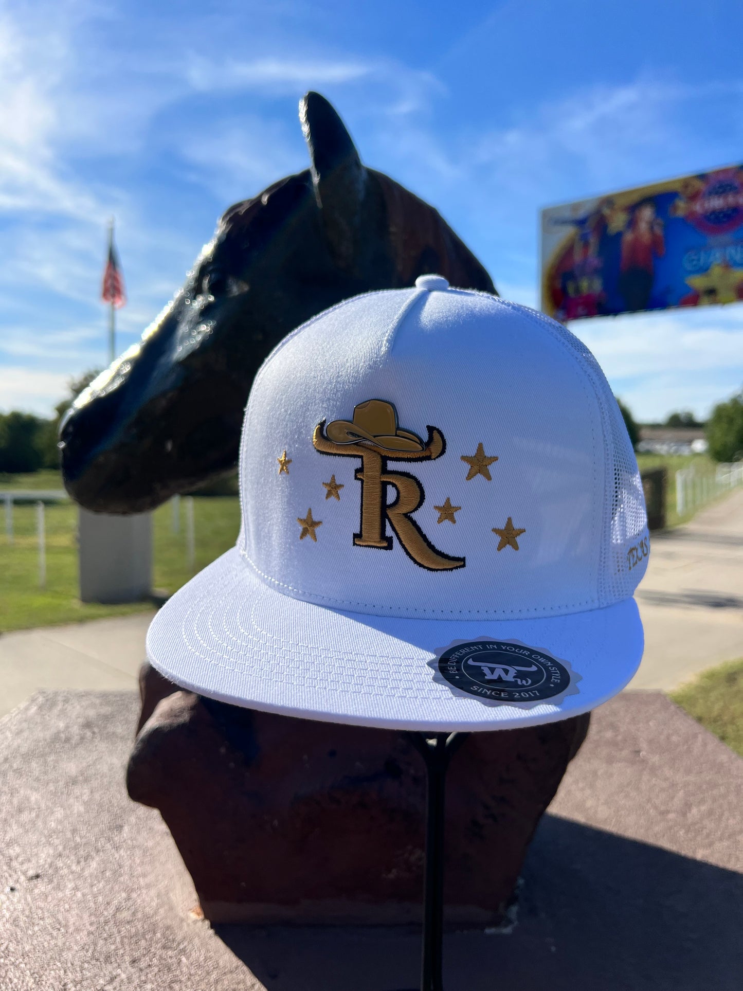 Texas Ranch Rodeo Star